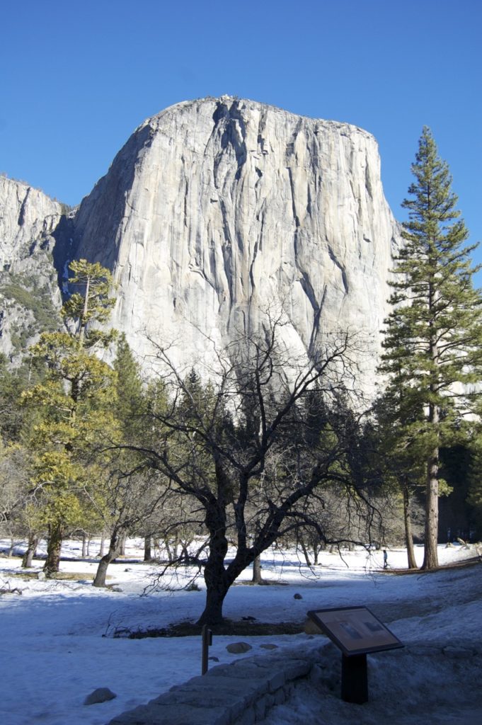 Yosemite-National-Park-El-Capitan