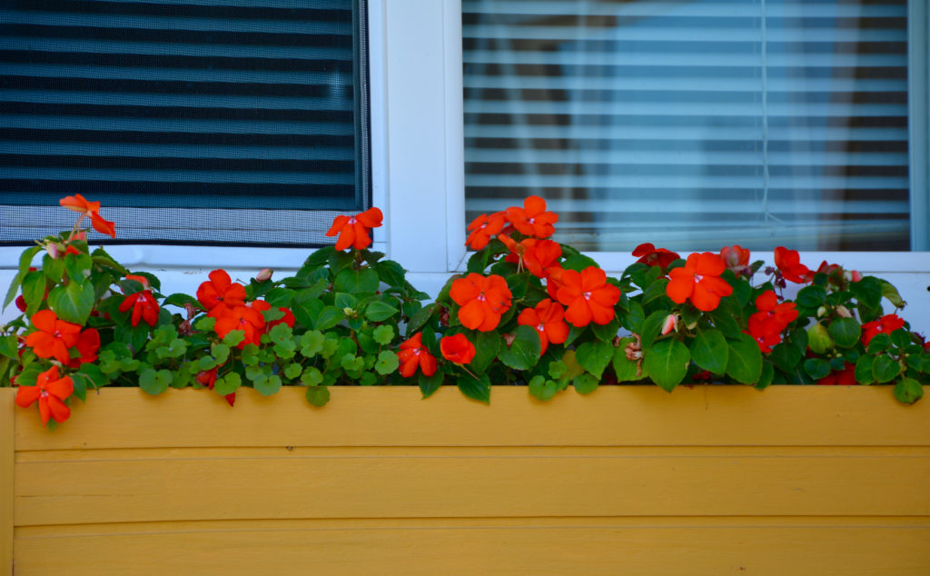 Planter box with impatiens