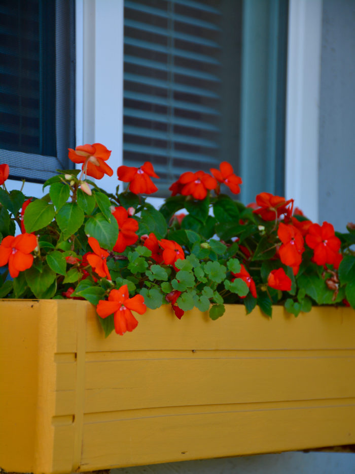 Planter Box With Impatiens