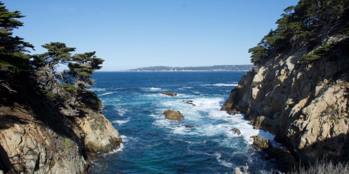 View While Hiking Point Lobos State Park