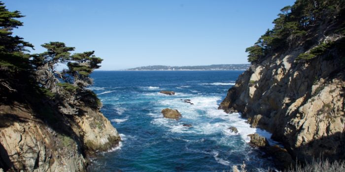View while hiking Point Lobos State Park