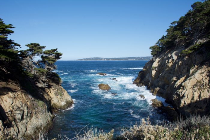 View while hiking Point Lobos State Park