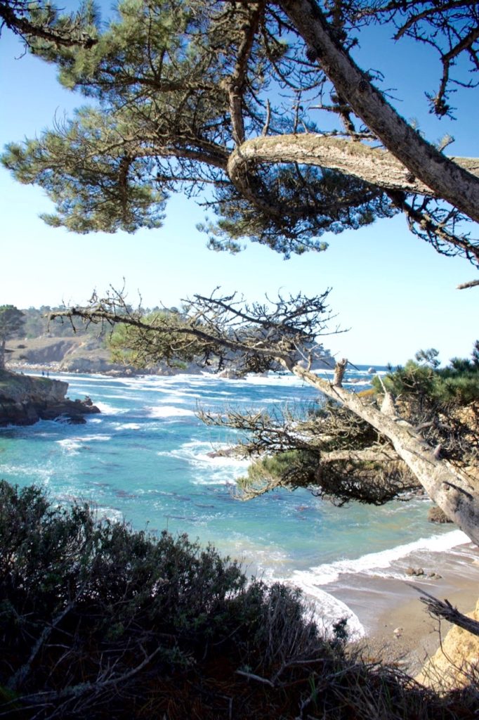 point-lobos